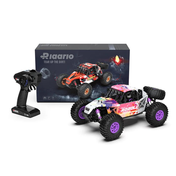Rlaarlo 1/12 RTR Brushless RC Desert Truck , Max 45MPH Fast RC Cars,AM-D12