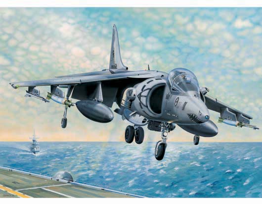 AV-8B Harrier II Trumpeter | No. 02229 | 1:32