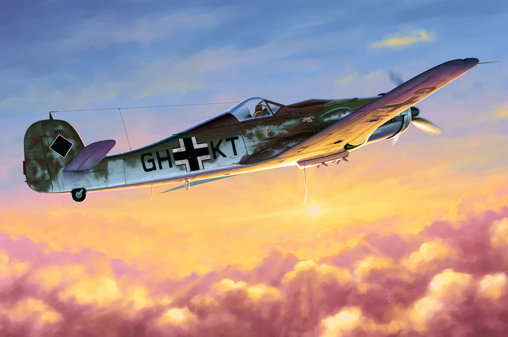 HobbyBoss 1/48 Focke-Wulf Fw 190D-10 WWII German Fighter Kit 81717